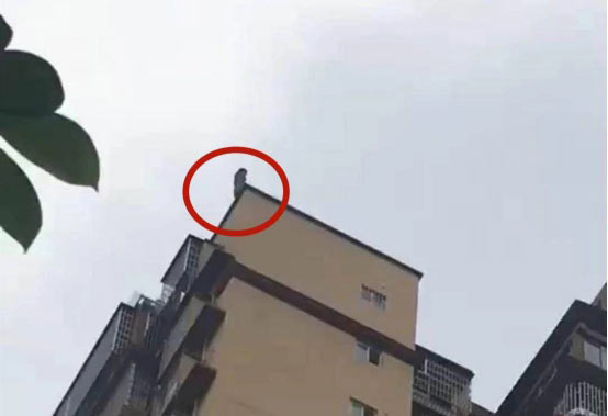 15岁少女跳楼父亲想接双双身亡!济南神康专家:青少年抑郁不可忽视